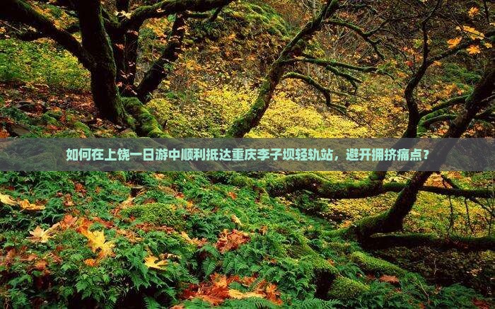如何在上饶一日游中顺利抵达重庆李子坝轻轨站，避开拥挤痛点？