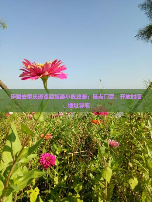 伊犁去重庆渣滓洞旅游小吃攻略：景点门票、开放时间、地址导航