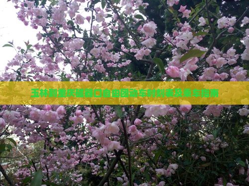 玉林到重庆磁器口自由团动车时刻表及乘车指南