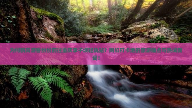 为何鹤岗游客纷纷前往重庆李子坝轻轨站？网红打卡地的旅游痛点与热词新词！