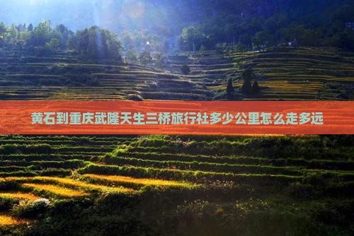 黄石到重庆武隆天生三桥旅行社多少公里怎么走多远