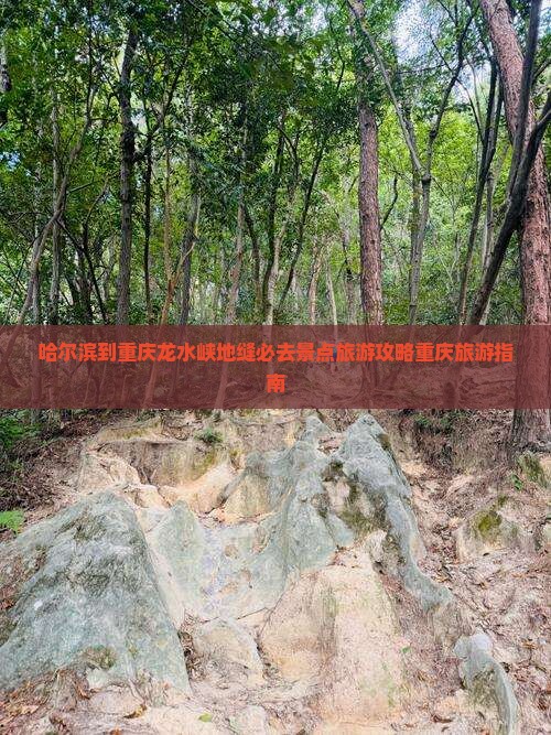 哈尔滨到重庆龙水峡地缝必去景点旅游攻略重庆旅游指南