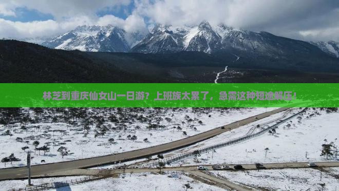 林芝到重庆仙女山一日游？上班族太累了，急需这种短途解压！