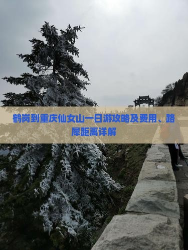 鹤岗到重庆仙女山一日游攻略及费用、路犀距离详解