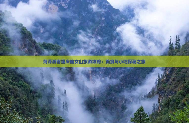 菏泽游客重庆仙女山旅游攻略：美食与小吃探秘之旅