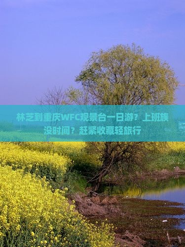 林芝到重庆WFC观景台一日游？上班族没时间？赶紧收藏轻旅行