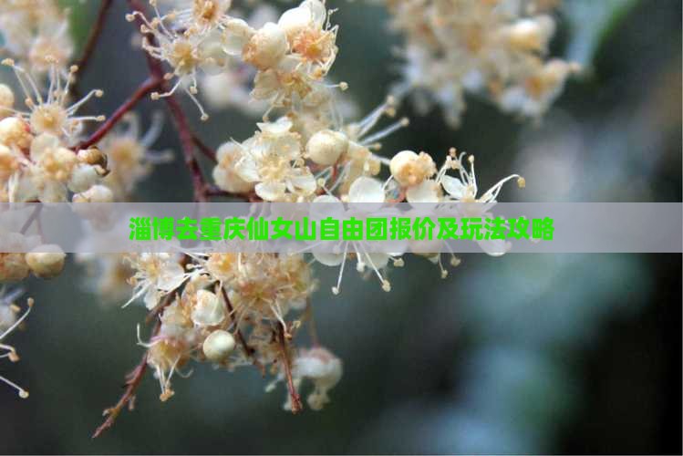 淄博去重庆仙女山自由团报价及玩法攻略