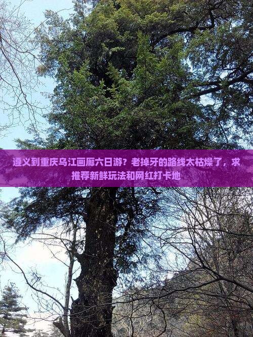 遵义到重庆乌江画廊六日游？老掉牙的路线太枯燥了，求推荐新鲜玩法和网红打卡地