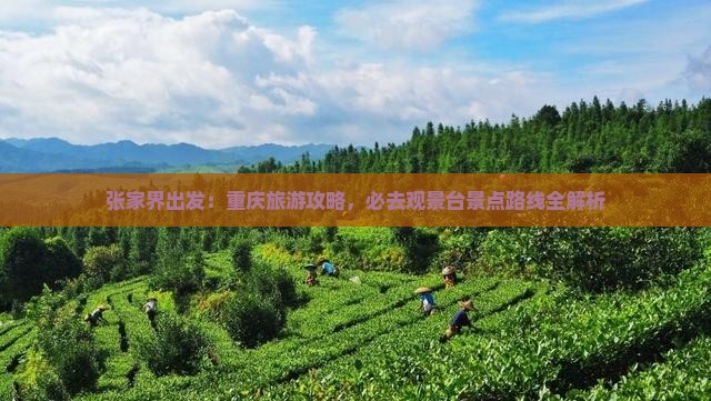 张家界出发：重庆旅游攻略，必去观景台景点路线全解析