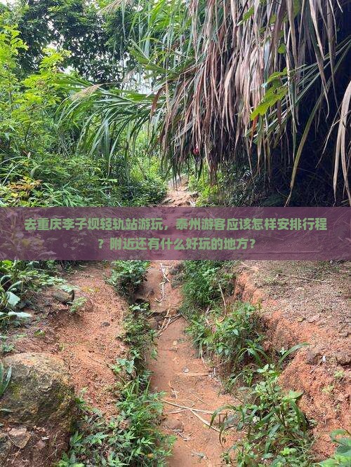 去重庆李子坝轻轨站游玩，泰州游客应该怎样安排行程？附近还有什么好玩的地方？