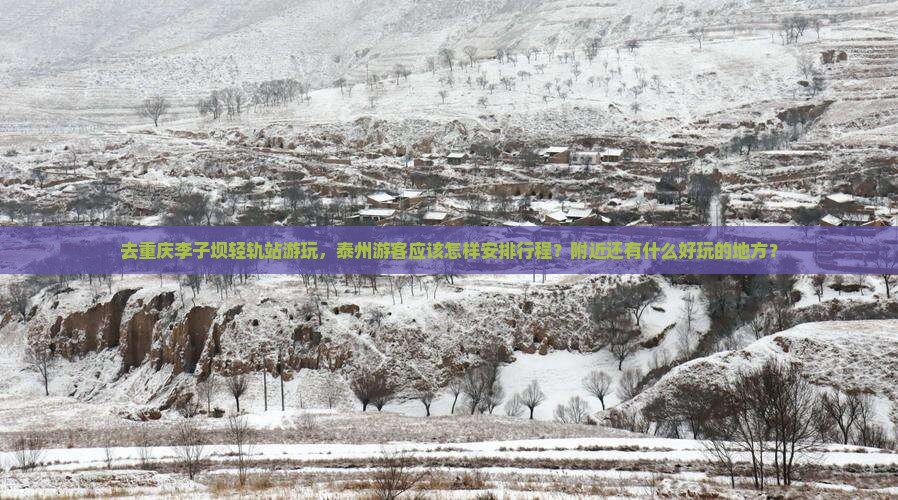 去重庆李子坝轻轨站游玩，泰州游客应该怎样安排行程？附近还有什么好玩的地方？