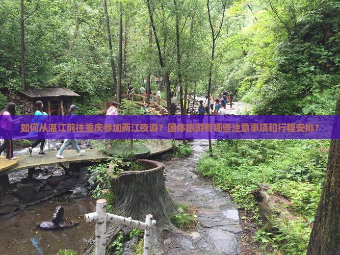 如何从湛江前往重庆参加两江夜游？团体旅游有哪些注意事项和行程安排？
