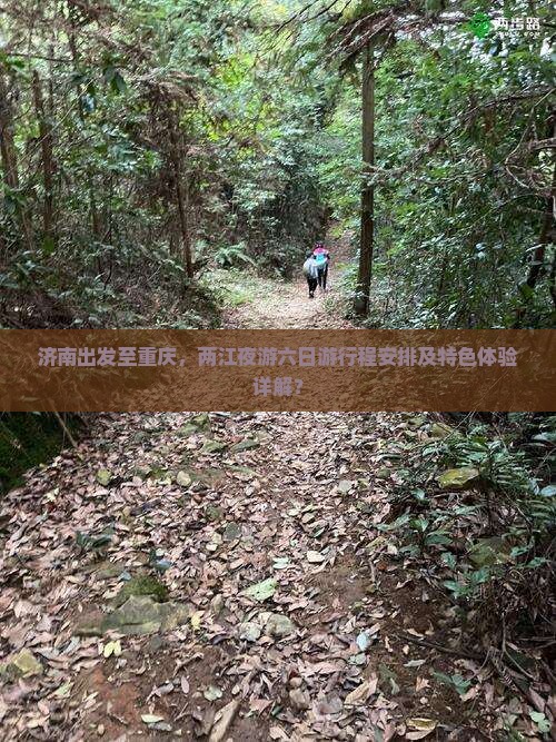 济南出发至重庆，两江夜游六日游行程安排及特色体验详解？