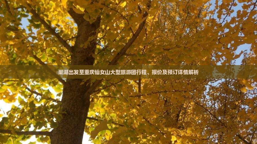 巢湖出发至重庆仙女山大型旅游团行程、报价及预订详情解析
