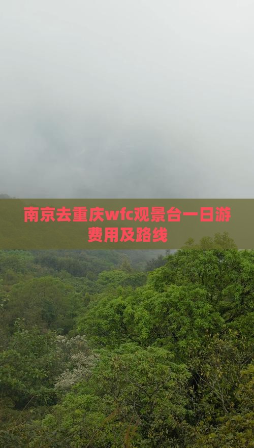 南京去重庆wfc观景台一日游费用及路线