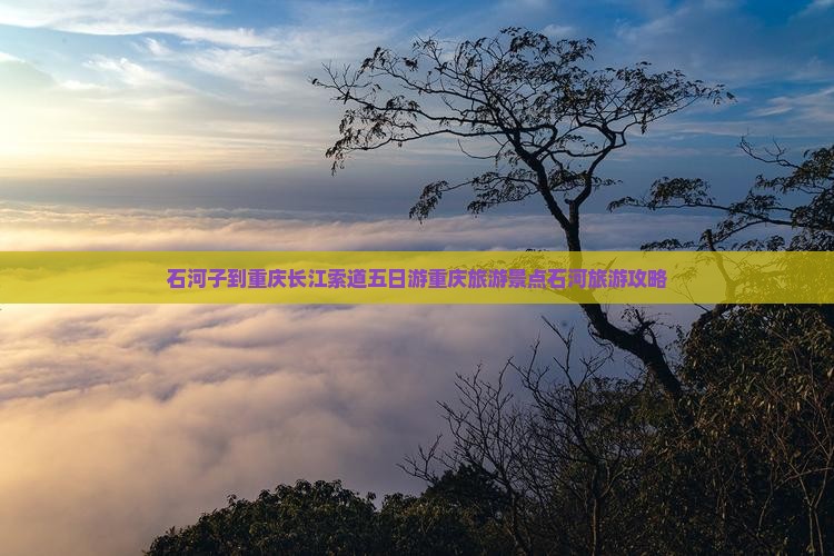 石河子到重庆长江索道五日游重庆旅游景点石河旅游攻略