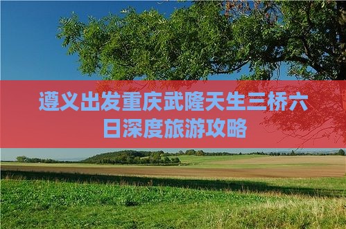 遵义出发重庆武隆天生三桥六日深度旅游攻略