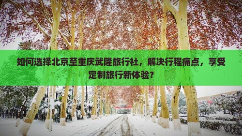 如何选择北京至重庆武隆旅行社，解决行程痛点，享受定制旅行新体验？