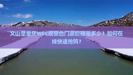 文山至重庆WFC观景台门票价格是多少？如何在线快速抢购？