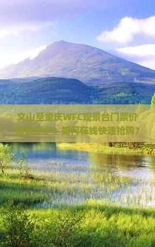 文山至重庆WFC观景台门票价格是多少？如何在线快速抢购？