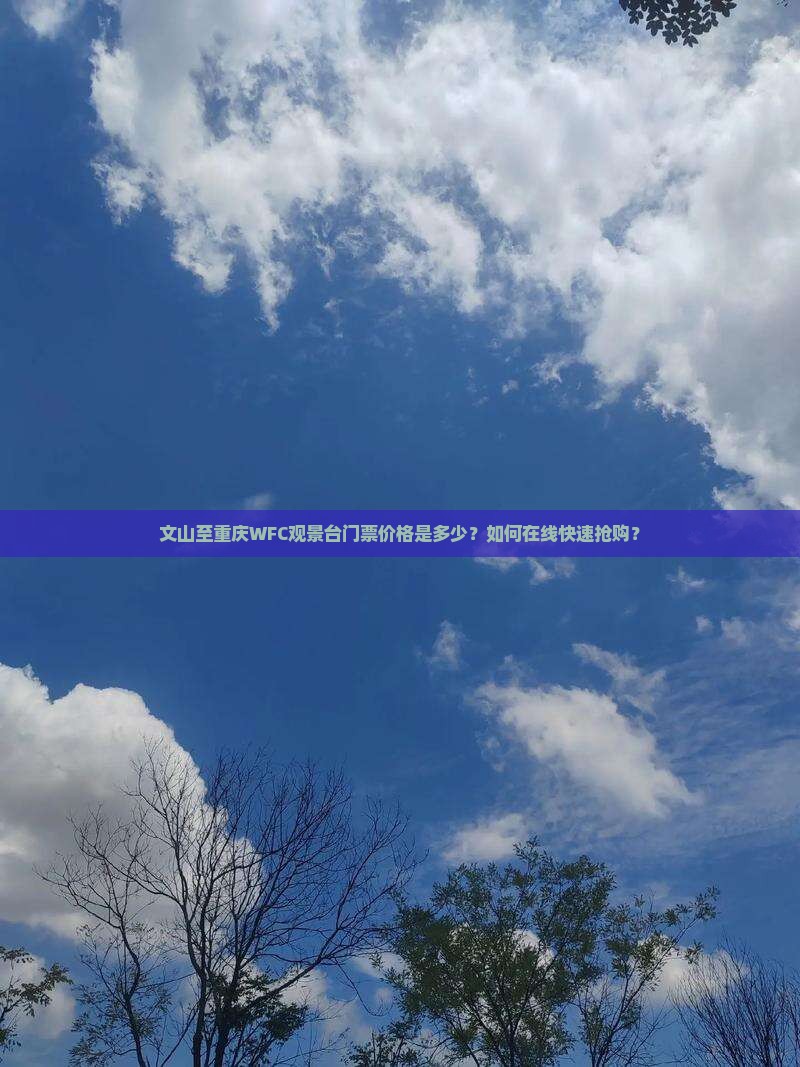 文山至重庆WFC观景台门票价格是多少？如何在线快速抢购？