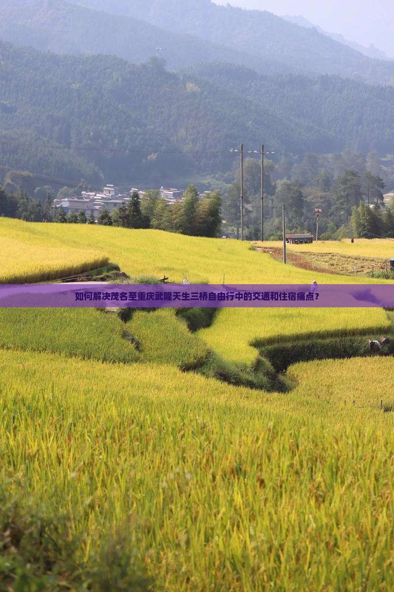如何解决茂名至重庆武隆天生三桥自由行中的交通和住宿痛点？