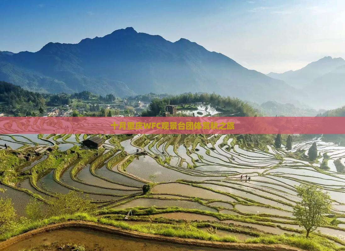 十月重庆WFC观景台团体赏秋之旅