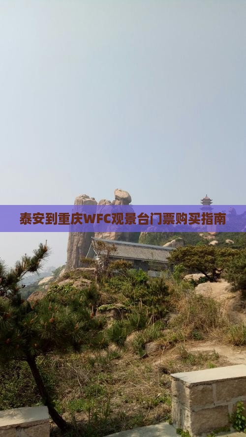 泰安到重庆WFC观景台门票购买指南