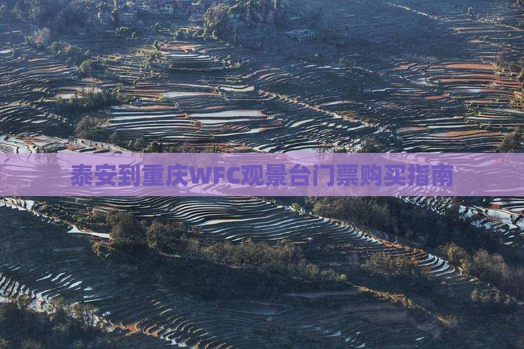 泰安到重庆WFC观景台门票购买指南