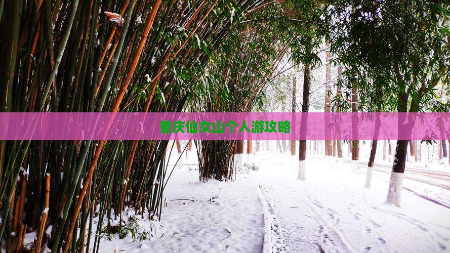 重庆仙女山个人游攻略