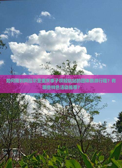 如何规划阿拉尔至重庆李子坝轻轨站的团体旅游行程？有哪些特色活动推荐？