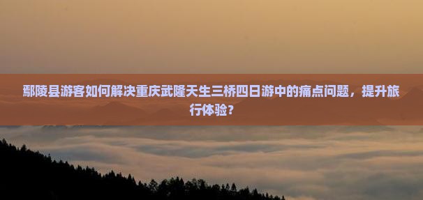 鄢陵县游客如何解决重庆武隆天生三桥四日游中的痛点问题，提升旅行体验？