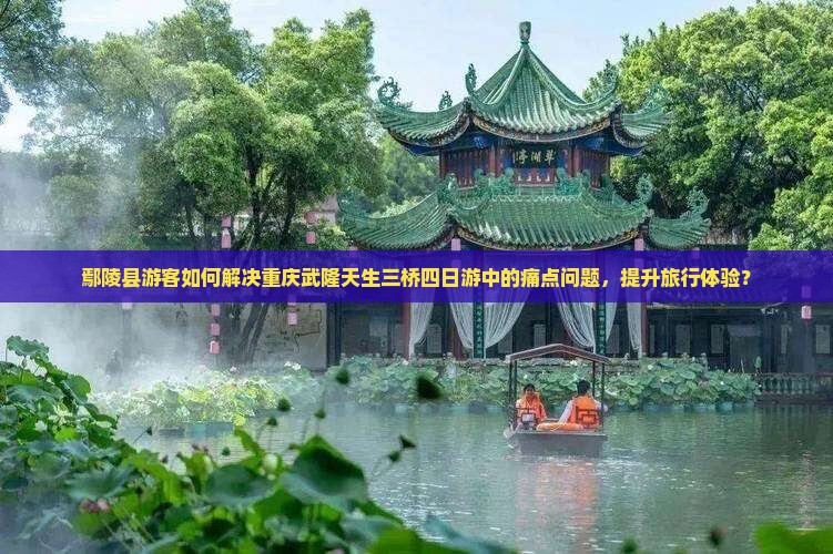 鄢陵县游客如何解决重庆武隆天生三桥四日游中的痛点问题，提升旅行体验？