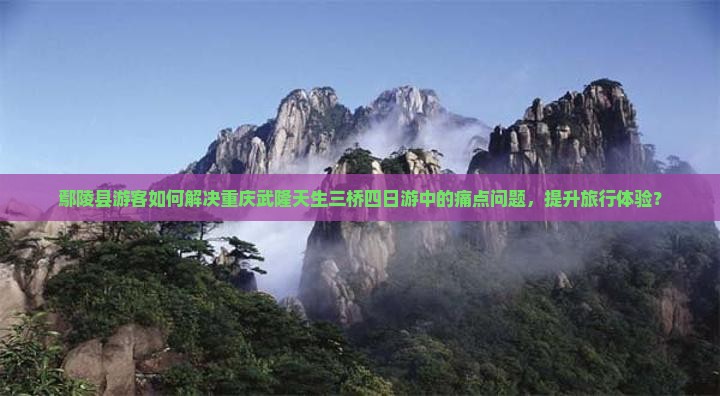 鄢陵县游客如何解决重庆武隆天生三桥四日游中的痛点问题，提升旅行体验？