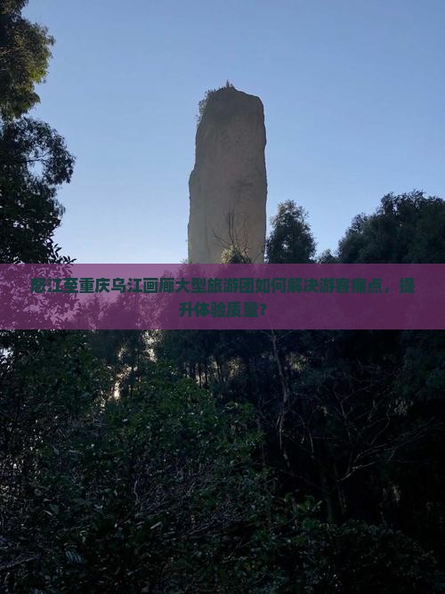怒江至重庆乌江画廊大型旅游团如何解决游客痛点，提升体验质量？