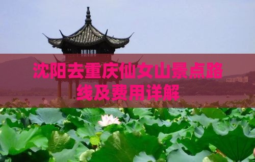 沈阳去重庆仙女山景点路线及费用详解