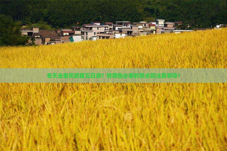 冬天去重庆武隆五日游？有哪些必看的景点和注意事项？