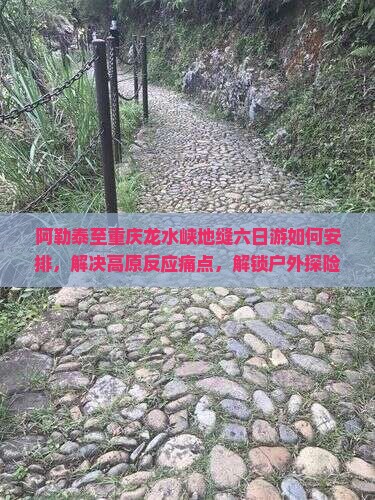 阿勒泰至重庆龙水峡地缝六日游如何安排，解决高原反应痛点，解锁户外探险新体验？