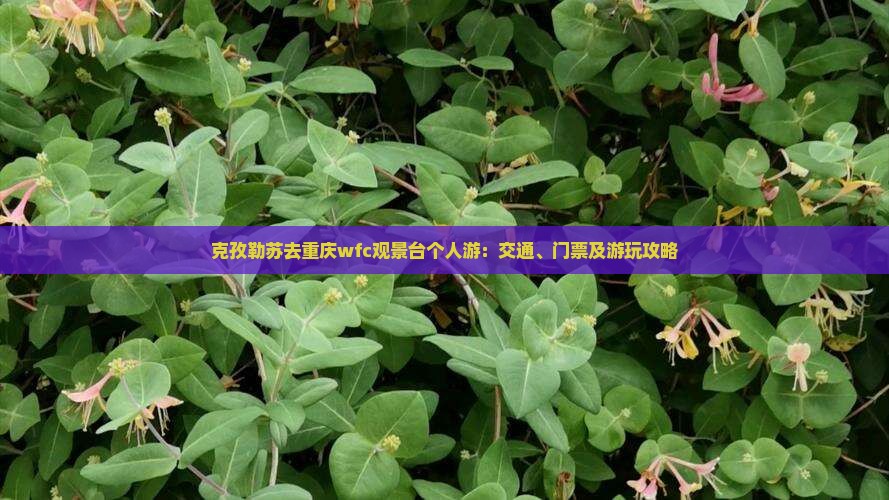 克孜勒苏去重庆wfc观景台个人游：交通、门票及游玩攻略