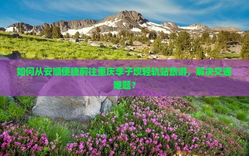 如何从安顺便捷前往重庆李子坝轻轨站旅游，解决交通难题？