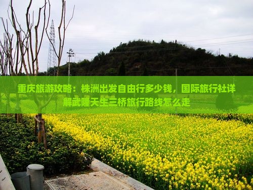 重庆旅游攻略：株洲出发自由行多少钱，国际旅行社详解武隆天生三桥旅行路线怎么走
