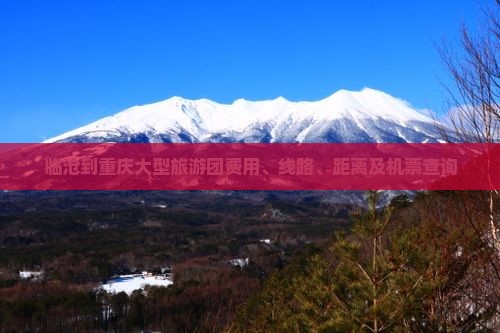 临沧到重庆大型旅游团费用、线路、距离及机票查询