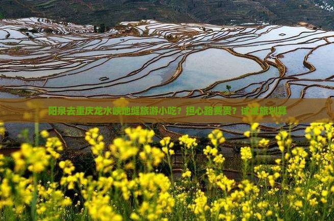 阳泉去重庆龙水峡地缝旅游小吃?担心路费贵?试试旅划算 阳泉去重庆龙水峡地缝旅游小吃?担心路费贵?试试旅划算