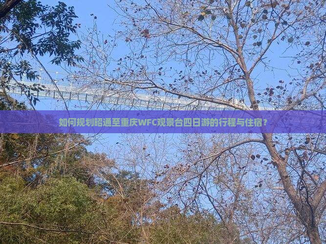 如何规划昭通至重庆WFC观景台四日游的行程与住宿？