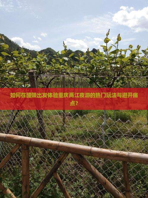 如何在醴陵出发体验重庆两江夜游的热门玩法与避开痛点？