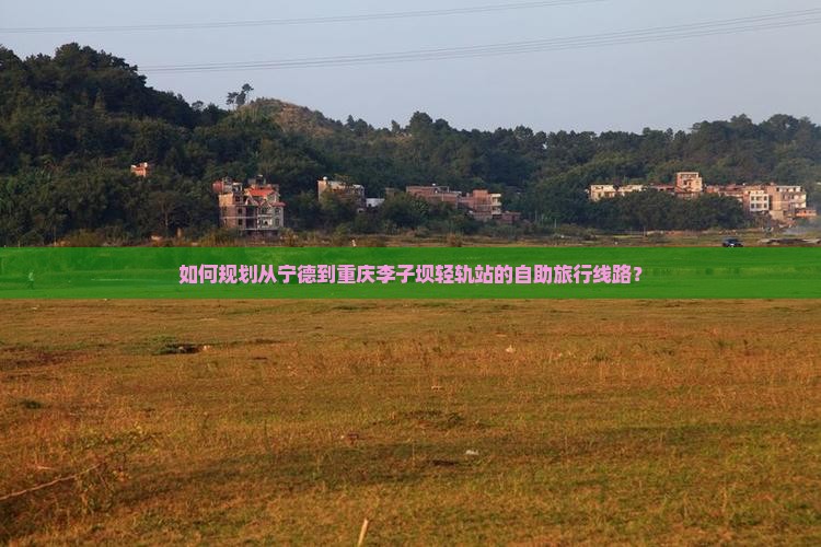 如何规划从宁德到重庆李子坝轻轨站的自助旅行线路？