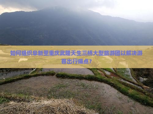 如何组织阜新至重庆武隆天生三桥大型旅游团以解决游客出行痛点？