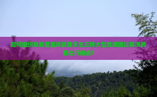 如何组织阜新至重庆武隆天生三桥大型旅游团以解决游客出行痛点？