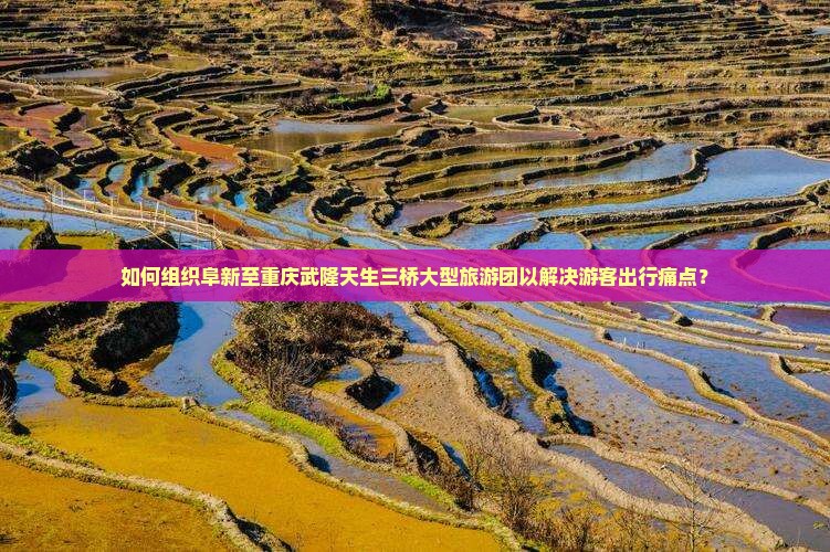 如何组织阜新至重庆武隆天生三桥大型旅游团以解决游客出行痛点？