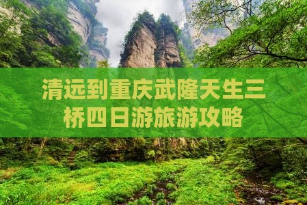 清远到重庆武隆天生三桥四日游旅游攻略